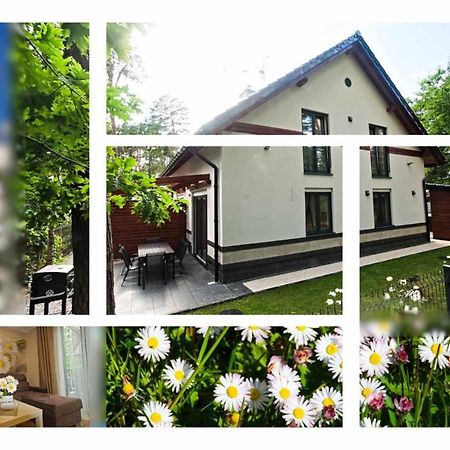 Daisy - Sunny Flowers Apartments Łukęcin Εξωτερικό φωτογραφία