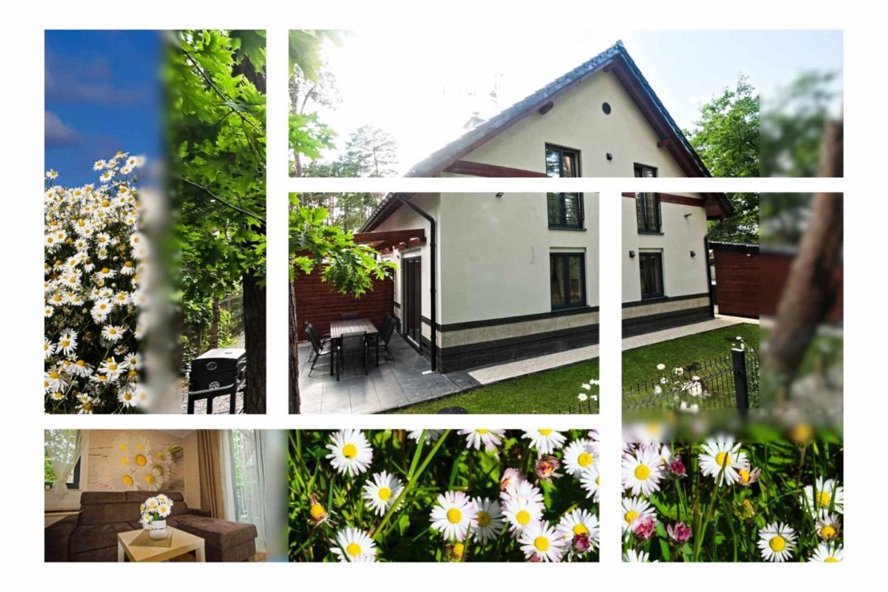 Daisy - Sunny Flowers Apartments Łukęcin Εξωτερικό φωτογραφία